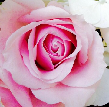 Week-end Bien-Être : Détox par la Respiration