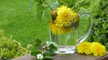 Retraite Détox & Vitalité : 6 jours pour rayonner – Du 5 au 10 juillet 2025